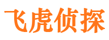 梅里斯私家调查公司